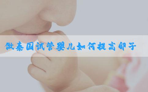 做泰国试管婴儿如何提高卵子质量？_南方39国际医疗