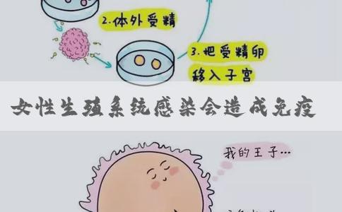 女性生殖系统感染会造成免疫性不孕吗？