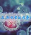 今日热点，附试管过程费用！