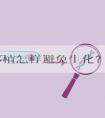 试管移植怎样避免生化？这些因素就非常重要了！