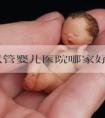 泰国试管婴儿医院哪家好!附价目明细!