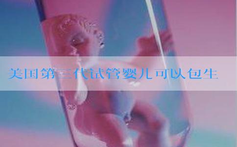 美国第三代试管婴儿可以包生双胞胎吗？