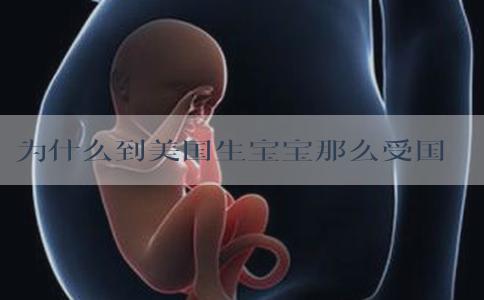为什么到美国生宝宝那么受国人的欢迎