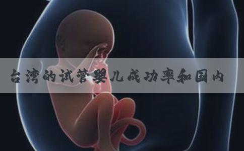 台湾的试管婴儿成功率和国内的哪个更高？