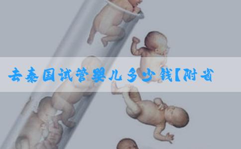 去泰国试管婴儿多少钱？附省钱小技巧！