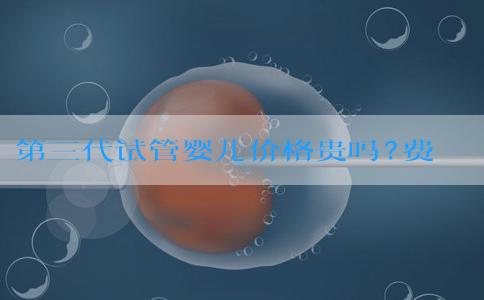 第三代试管婴儿价格贵吗?费用清单有吗?