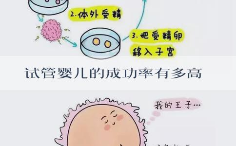 试管婴儿的成功率有多高