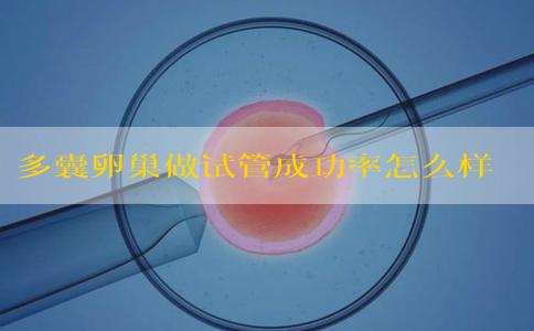 多囊卵巢做试管成功率怎么样？是好还是不好？