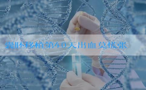 囊胚移植第40天出血莫慌张,宝宝之家助你科学保胎!