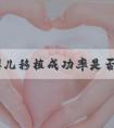 试管婴儿移植成功率是否与季节有关？受哪些因素影响？