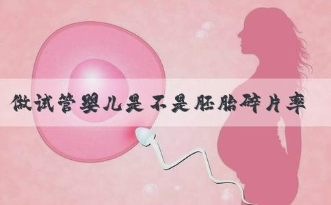 做试管婴儿是不是胚胎碎片率越高就代表成功率越低?