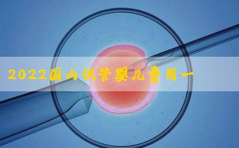 2022国内试管婴儿费用一览，附试管费用明细分析介绍