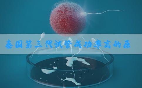 泰国第三代试管成功率高的原因分析！试管成功后需要休息多久？