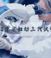 2022福建省妇幼三代试管生龙凤胎费用一览，附试管龙凤胎成功率介绍