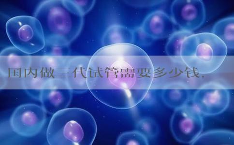 国内做三代试管需要多少钱，还有成功率！