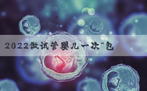 2022做试管婴儿一次“包成功”大概需要多少钱？