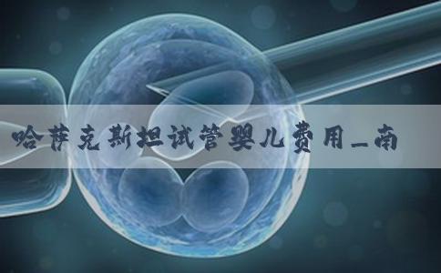 哈萨克斯坦试管婴儿费用_南方39国际医疗