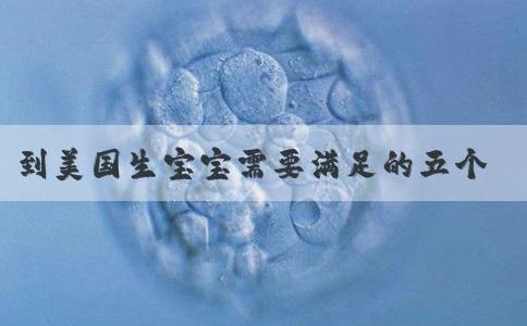 到美国生宝宝需要满足的五个条件