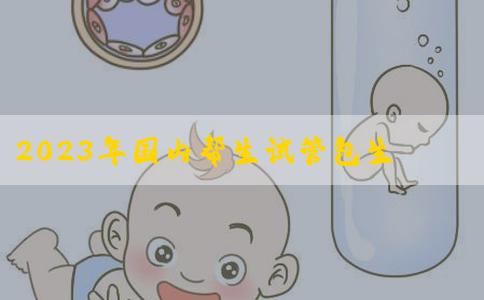 2023年国内帮生试管包生男孩套餐多少钱？