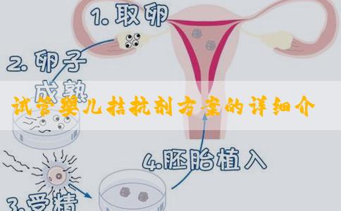 试管婴儿拮抗剂方案的详细介绍！揭晓试管婴儿定方案的依据是什么