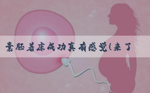 囊胚着床成功真有感觉！来了解下！