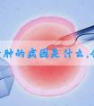 卵巢囊肿的病因是什么，会影响试管移植吗?