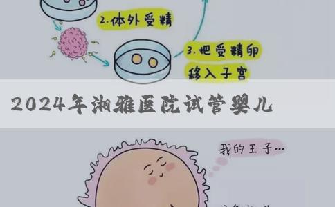 2024年湘雅医院试管婴儿费用明细一览！试管期间饮食需要注意哪些？