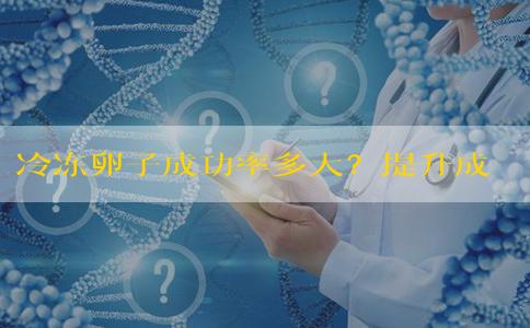冷冻卵子成功率多大？提升成功率的重要法宝！