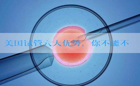 美国试管六大优势，你不能不知道