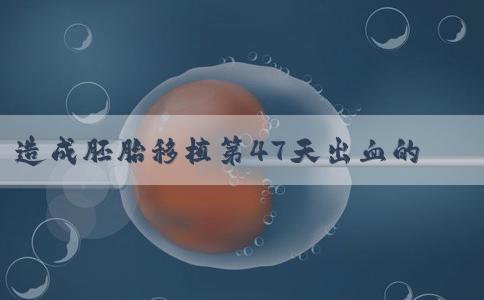 造成胚胎移植第47天出血的5个因素,准妈妈们一定要注意!