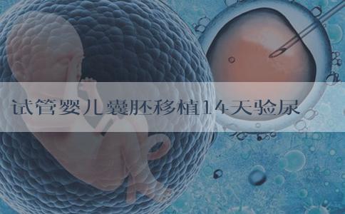 试管婴儿囊胚移植14天验尿一条线怎么回事？