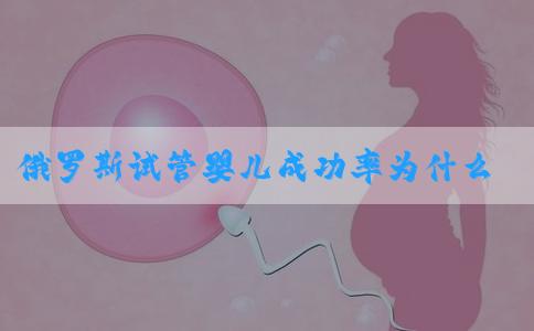 俄罗斯试管婴儿成功率为什么会高达80%