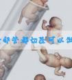 两侧输卵管都切除可以做试管吗?