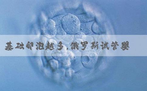 基础卵泡越多，俄罗斯试管婴儿成功率越高吗？