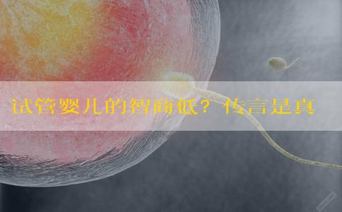 试管婴儿的智商低？传言是真是假？