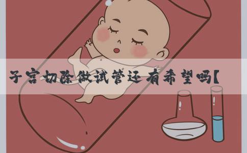子宫切除做试管还有希望吗？