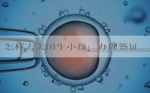 怎样去美国生小孩：办理签证前的疑问，需要彻底解决！