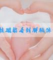 胎儿核磁能看到胼胝体么?