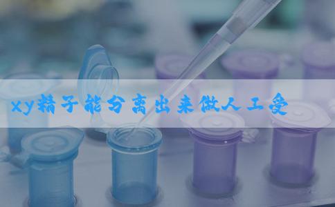 xy精子能分离出来做人工受精吗？