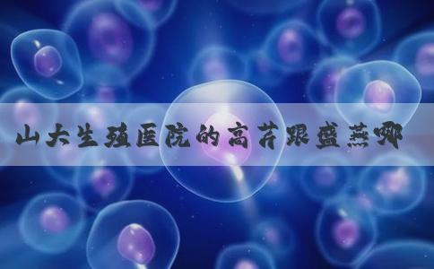 山大生殖医院的高芹跟盛燕哪个做试管比较好？
