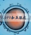 脊灰IPV、OPV和五联疫苗对比，选择哪种参考这4个方案