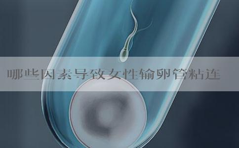 哪些因素导致女性输卵管粘连？女人输卵管粘连会怀孕吗？