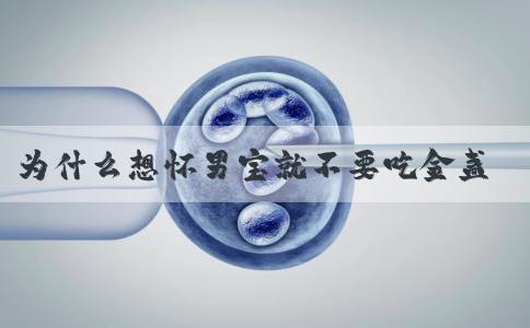 为什么想怀男宝就不要吃金盏燕窝？