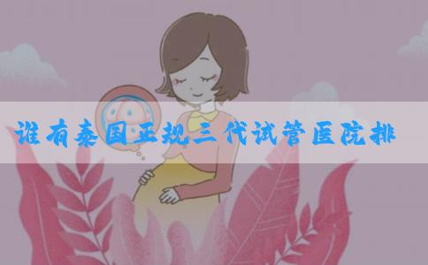 谁有泰国正规三代试管医院排名榜？