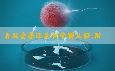 自然受孕还是试管婴儿好，附详细费用指南！