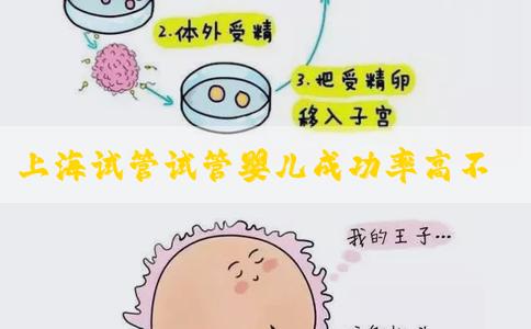 上海试管试管婴儿成功率高不高，要准备几万！