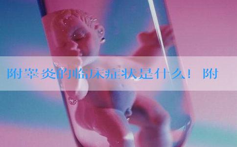 附睾炎的临床症状是什么！附睾炎的症状与体征！