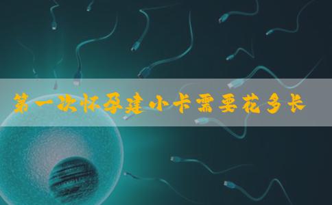 第一次怀孕建小卡需要花多长时间，半天能完事吗？