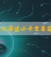 第一次怀孕建小卡需要花多长时间，半天能完事吗？