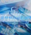 浅析胚胎移植成功后做哪些检查，血液、腹部B超都很重要